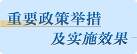 重要政策舉措及實(shí)施效果